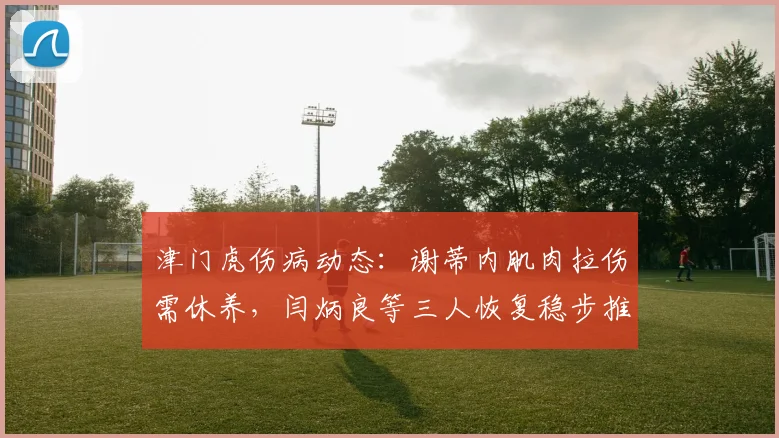 津门虎伤病动态:谢蒂内肌肉拉伤需休养,闫炳良等三人恢复稳步推进